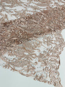 Damask Rhinestone Fabric - Blush - Beaded Embroidery Corded Lace Fabric Sold by Yard