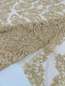 Beaded My Lady Damask Design - Champagne - Beaded Fancy Damask Embroidered Fabric By Yard