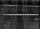 Crocodile Faux Leather Vinyl - Black - Fabric 3D Scales Vinyl Crocodile Sold By Yard
