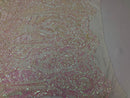 Iridescent Pink Sequin, 4 Way Stretch Damask Design Fabric On Stretch Mesh By The Yard