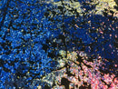 Velvet 4 Way Stretch Shiny Irreversible Sequins Fabric - Iridescent Royal Blue on Black Velvet