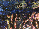 Velvet 4 Way Stretch Shiny Irreversible Sequins Fabric - Iridescent Royal Blue on Black Velvet