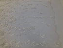 Flower 3D Fabric - Off-White - Embroided Fabric Flower Pearls and Leaf Decor Sold by The Yard
