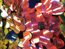 Iridescent Sequins Hologram Fabric - Multi-Color Oval Teardrops - 58 Inch Fabric Sold By The Yard