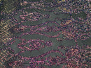 Sequins Damask Pattern - Iridescent Rainbow - 4 Way Stretch Designer Fabrics in Shiny Patterns