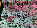 Reversible Velvet Sequins Hot Pink / Iridescent Pink 2 Way Stretch Shiny Sequins Fabric Black Velvet