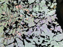 Reversible Velvet Sequins - Pink / Lilac Iridescent 2 Way Stretch Shiny Sequins Fabric Black Velvet