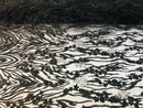 Beaded Fabric - Black - Embroidered Flower Line Mesh Lace Fabric with Beads Sold By The Yard
