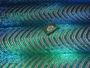 Sequins in Lines - Jade Green / Blue - Iridescent 4 Way Stretch Two Tone Color Design Sequins Fabric