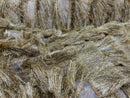 Metallic Fringe Eyelash Design - Gold - Embroidered 2 Way Stretch Fancy Fringe By Yard