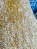 Metallic Eyelash Fabric - Gold - Feather/Eyelash/Fringe Design on Mesh By Yard