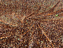 Velvet Stretch Sequins - Orange on Black Velvet - Sequins 2 Way Stretch Velvet Fabric 58/60”
