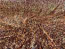 Velvet Stretch Sequins - Orange on Black Velvet - Sequins 2 Way Stretch Velvet Fabric 58/60”